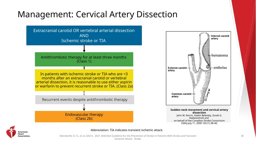 Clinical Update ADAPTED FROM: 2021 AHA/ASA - slide 30 of 43