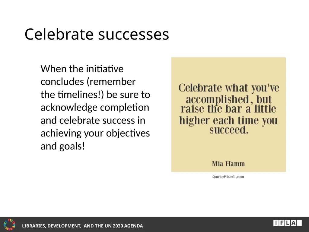 INTERNATIONAL ADVOCACY PROGRAMME LIBRARIES, - slide 45 of 49