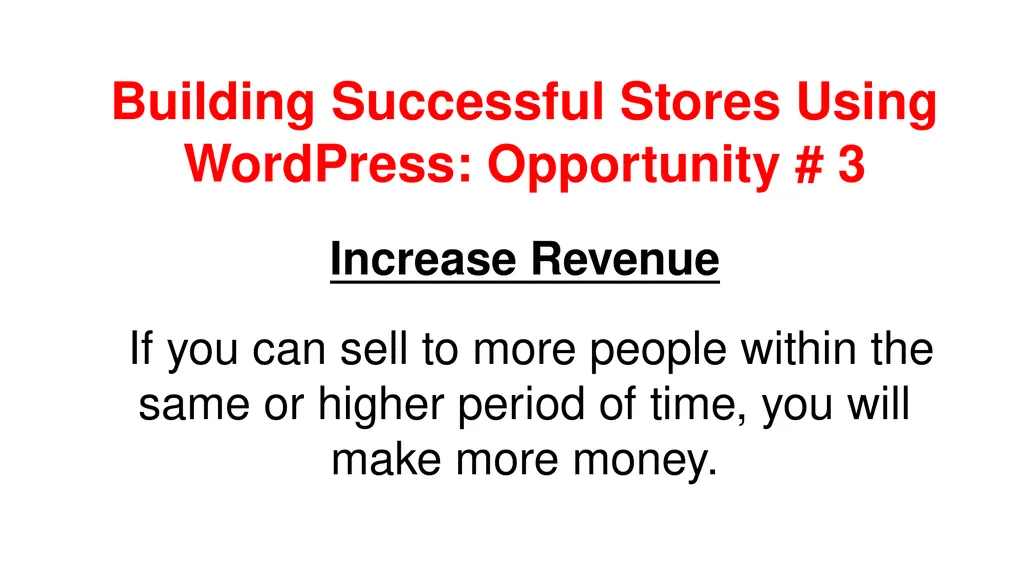 Building Successful Stores Using WordPress by - slide 23 of 51