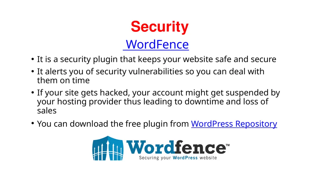 Building Successful Stores Using WordPress by - slide 33 of 51
