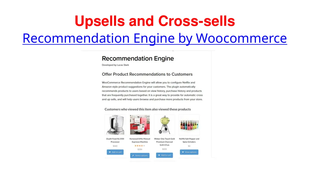 Building Successful Stores Using WordPress by - slide 42 of 51