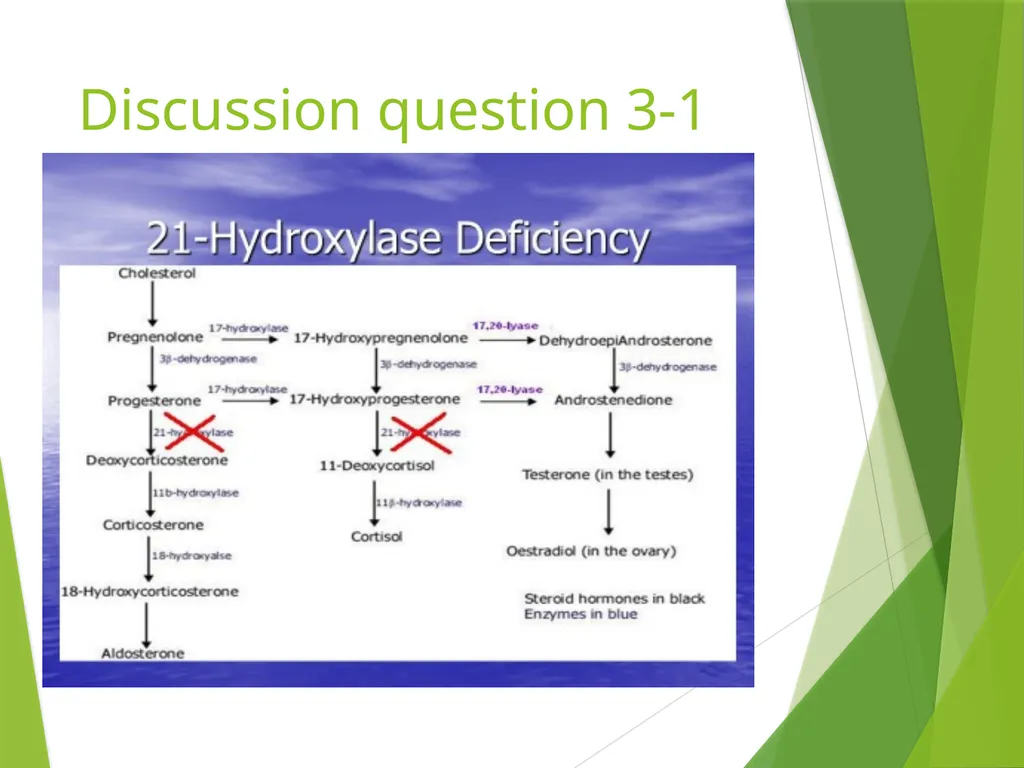 Newborn Screening 2014 Pediatric Continuity Clinic - slide 23 of 34