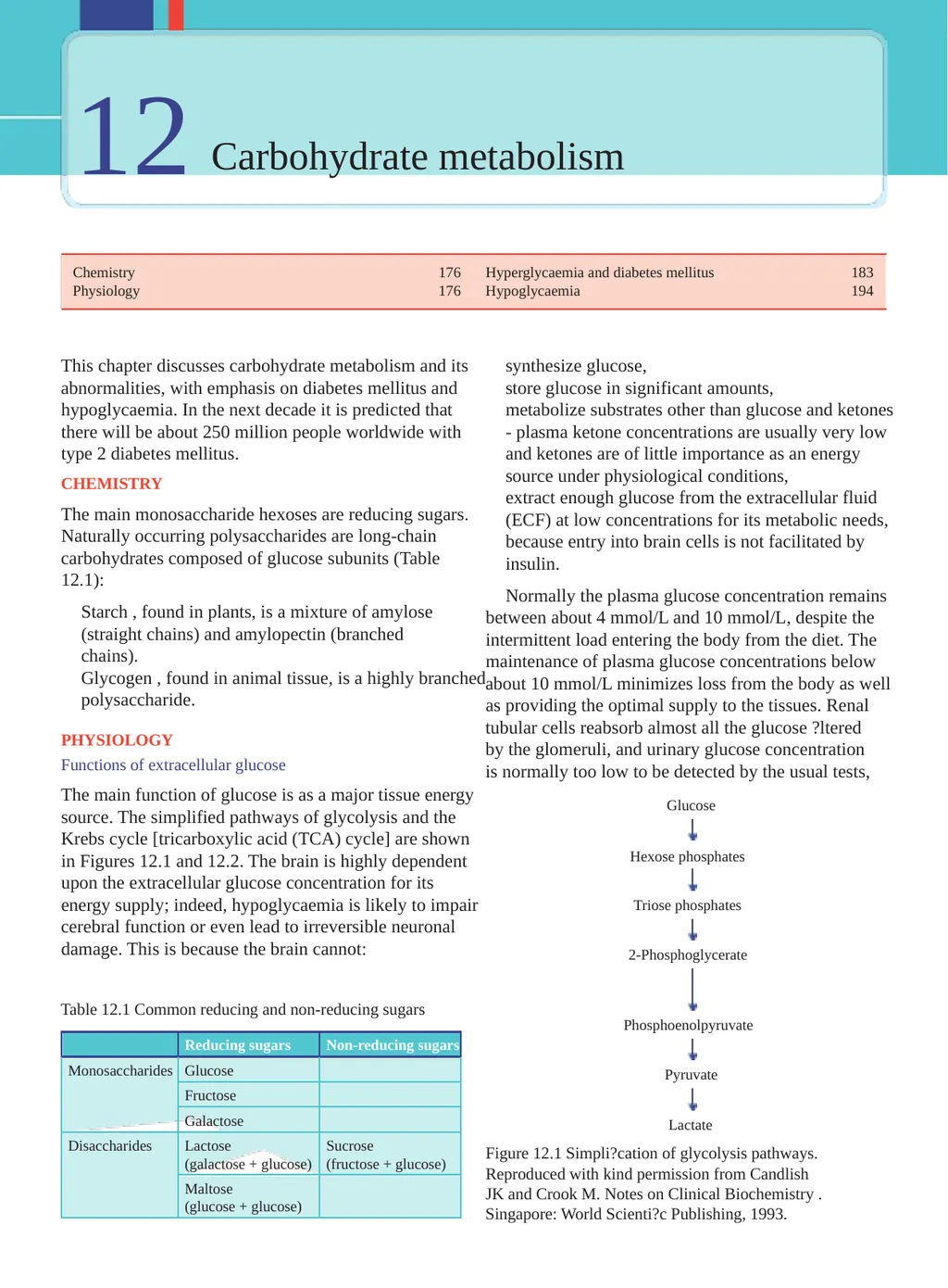 12 Carbohydrate metabolism Chemistry 176 - slide 1 of 21