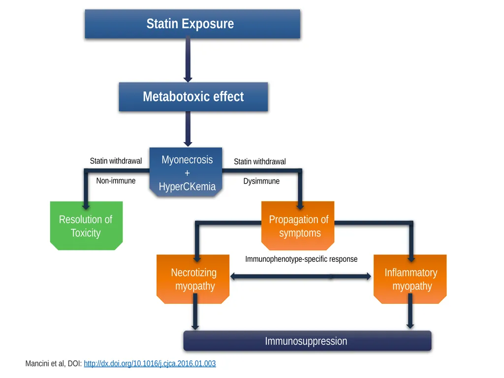 Diagnosis, Prevention and Management of Statin - slide 63 of 70