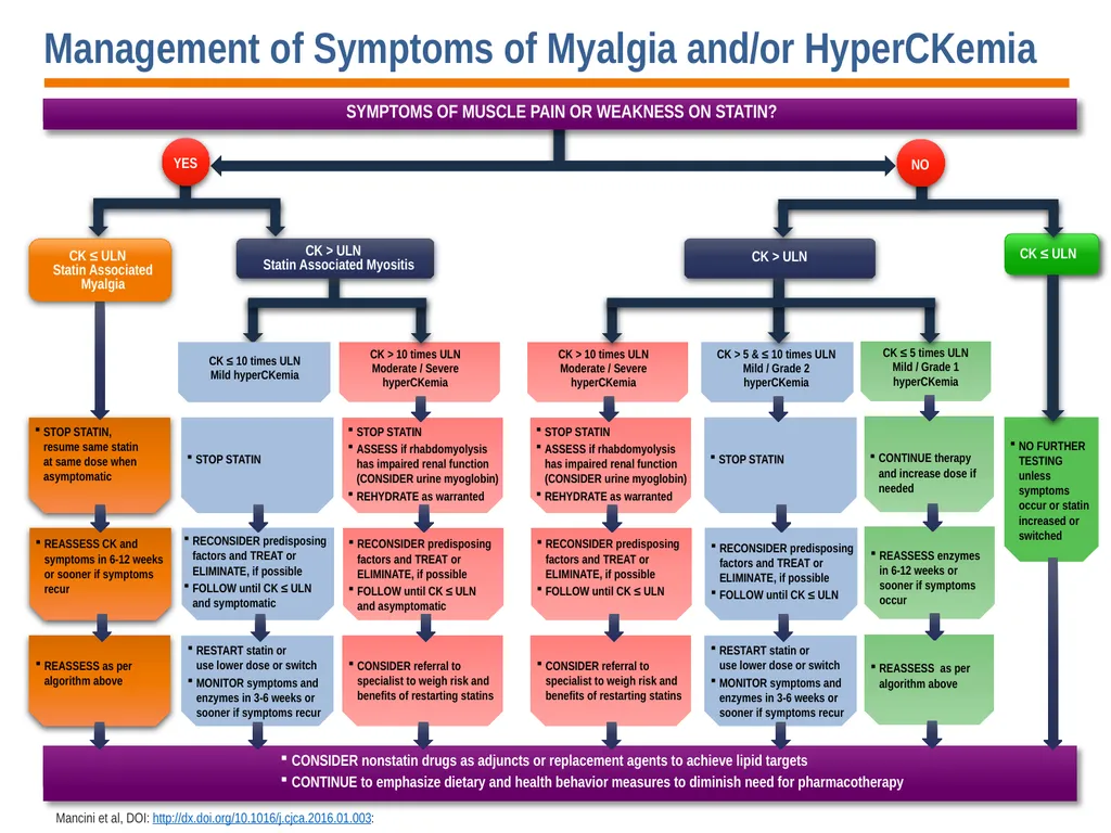 Diagnosis, Prevention and Management of Statin - slide 23 of 70