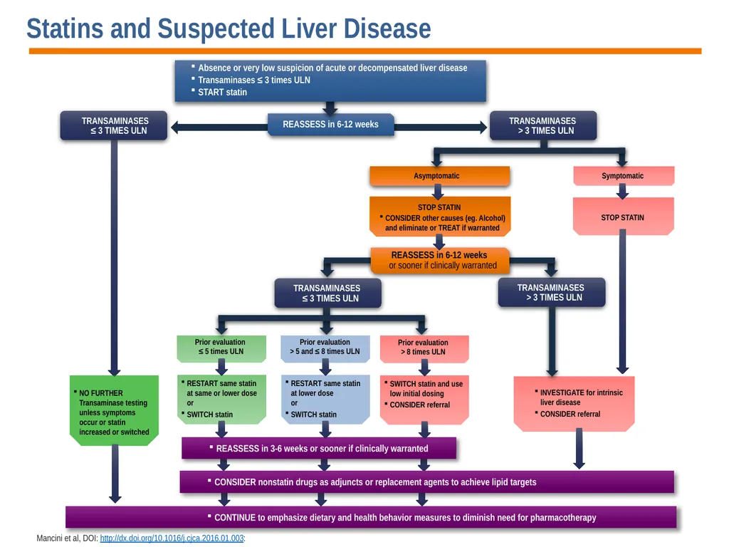 Diagnosis, Prevention and Management of Statin - slide 47 of 70