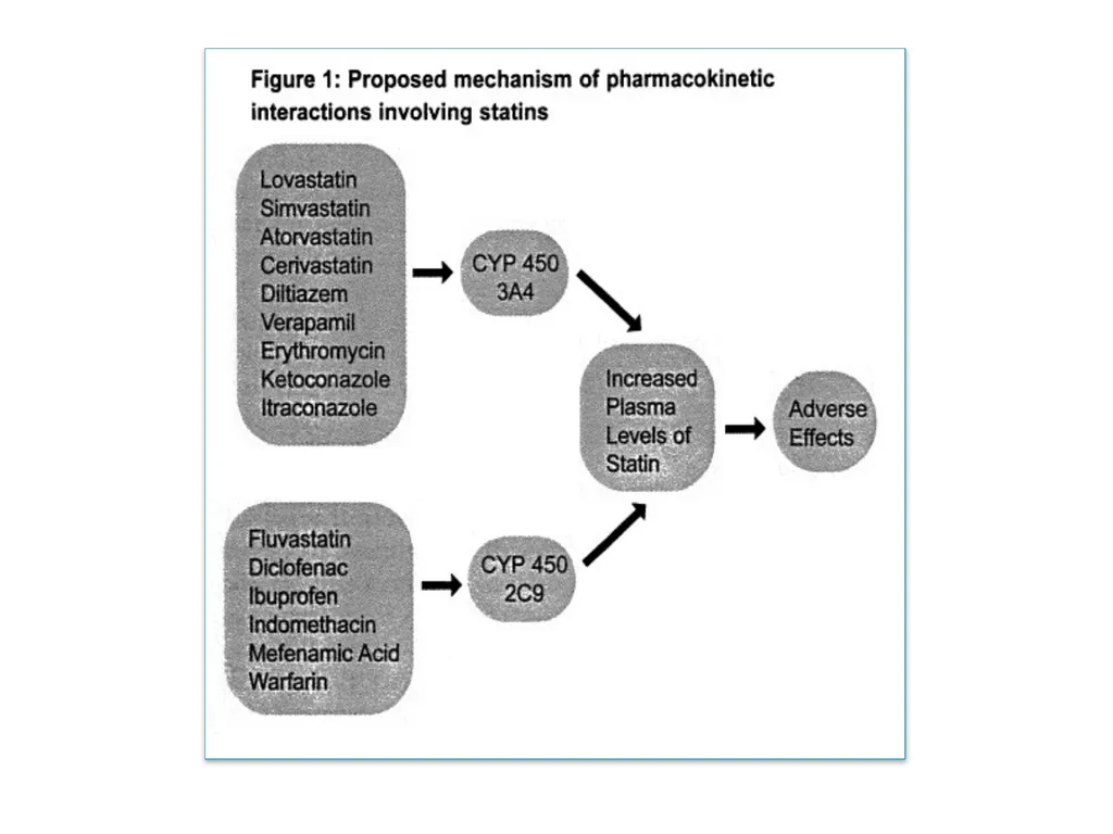 Non-cardiovascular effects associated with statins - slide 12 of 44