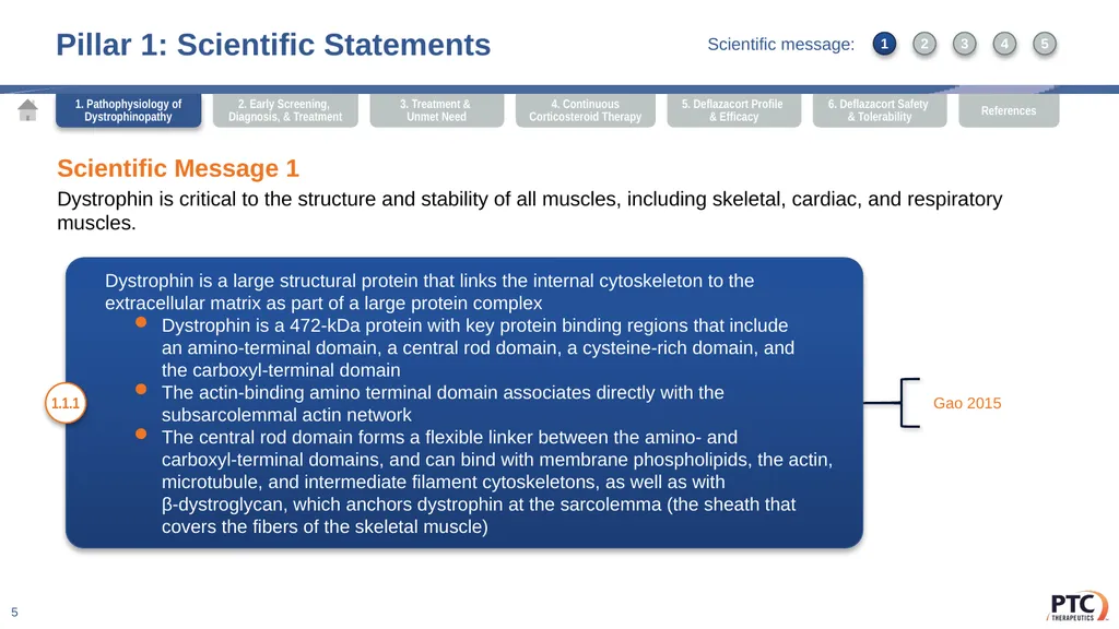 Deflazacort Scientific Communication Platform - slide 5 of 75