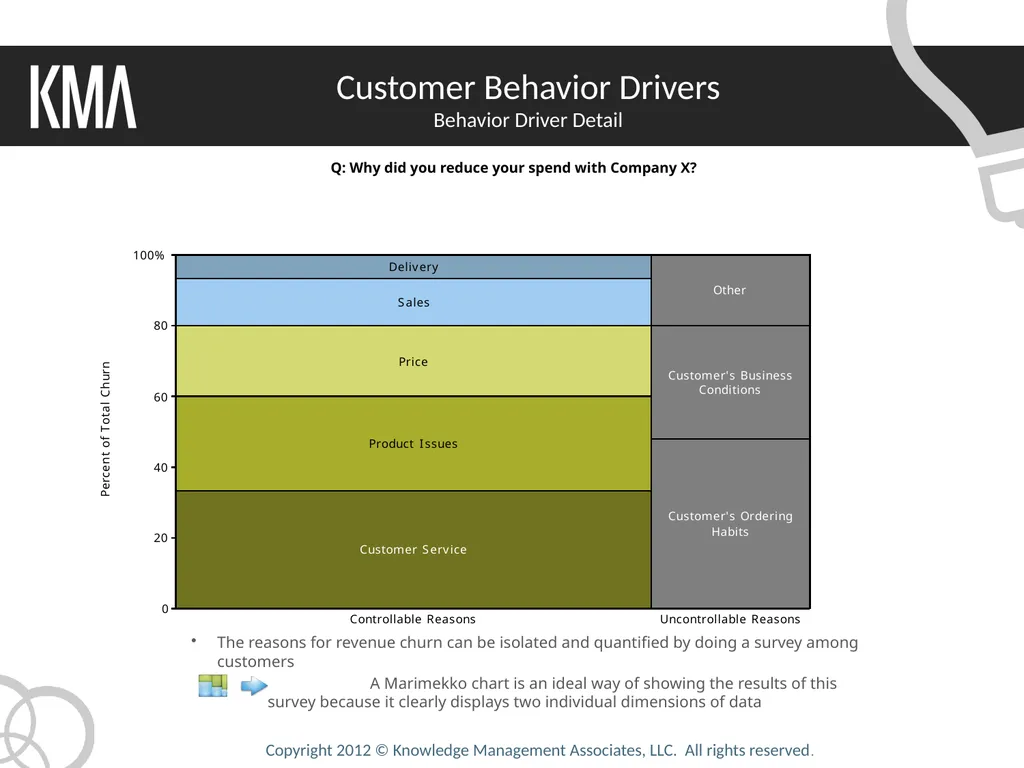Solving Business Problems Using Mekko Graphics - slide 6 of 10