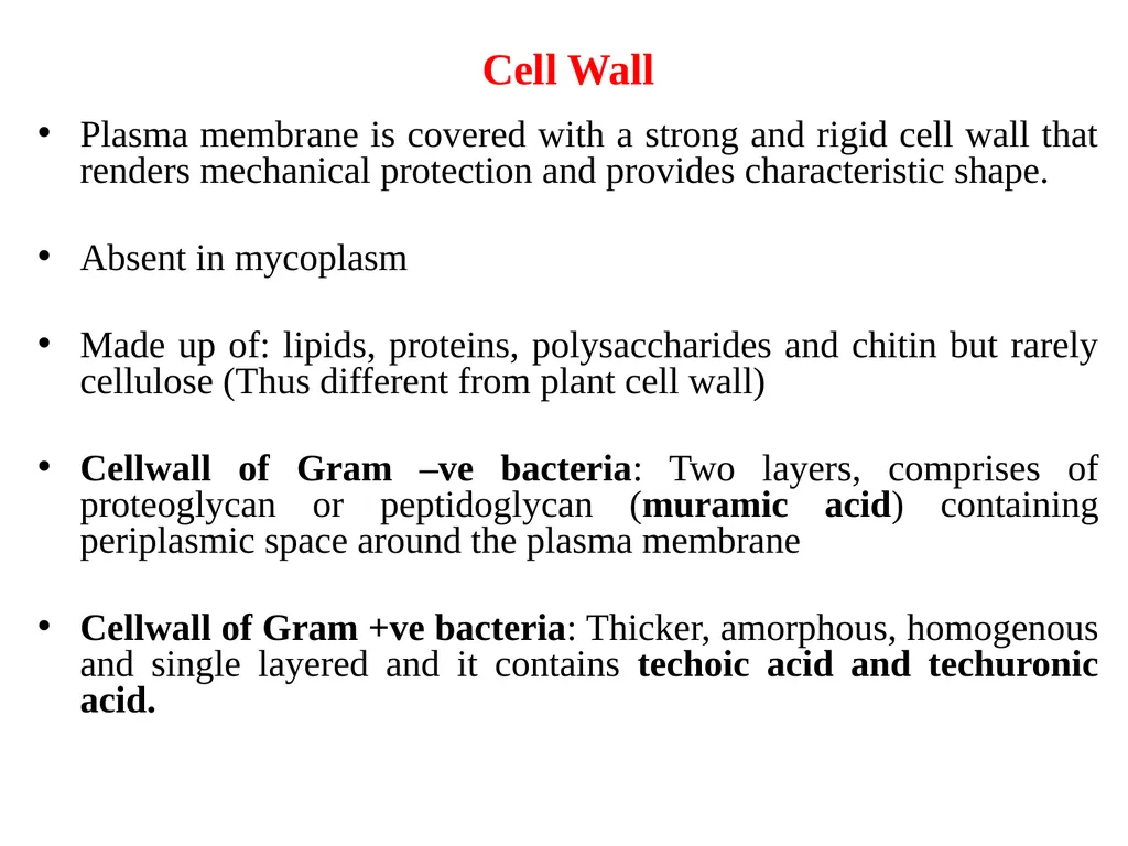 Books For References: Prokaryotic and Eukaryotic - slide 32 of 66