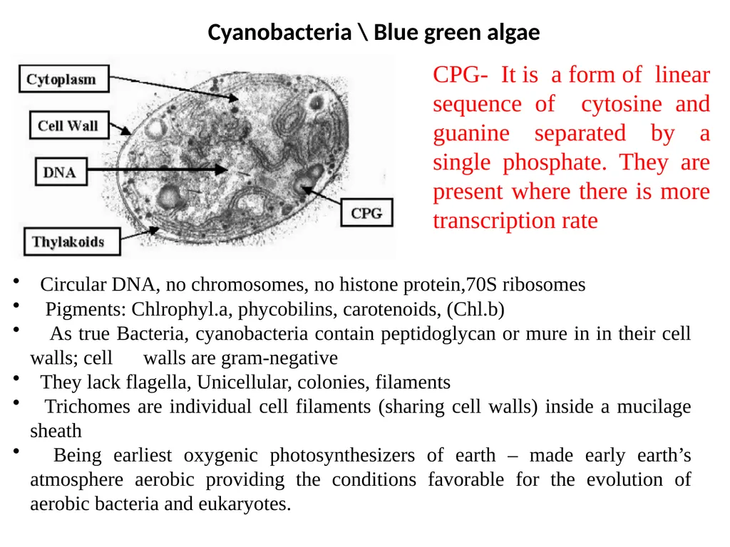 Books For References: Prokaryotic and Eukaryotic - slide 39 of 66
