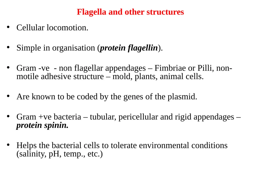 Books For References: Prokaryotic and Eukaryotic - slide 37 of 66