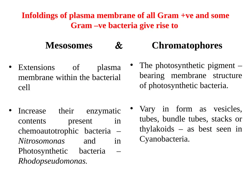 Books For References: Prokaryotic and Eukaryotic - slide 31 of 66