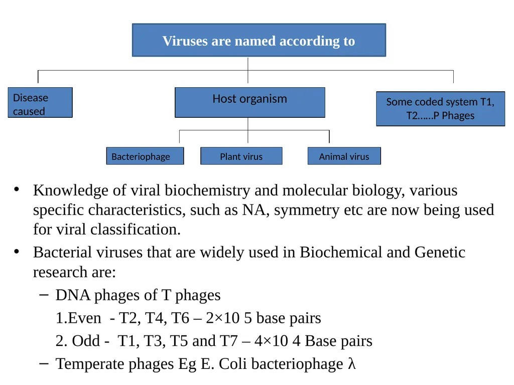 Books For References: Prokaryotic and Eukaryotic - slide 48 of 66