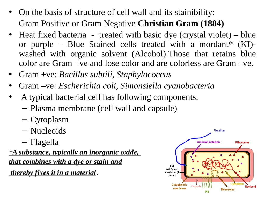 Books For References: Prokaryotic and Eukaryotic - slide 29 of 66