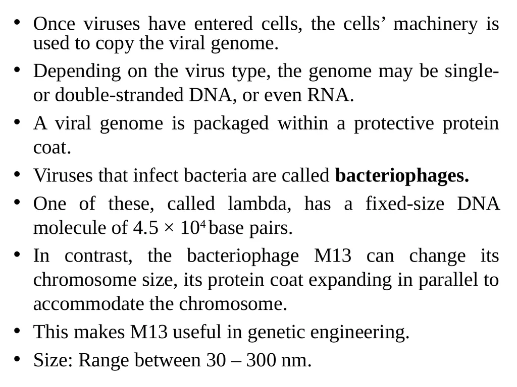Books For References: Prokaryotic and Eukaryotic - slide 42 of 66