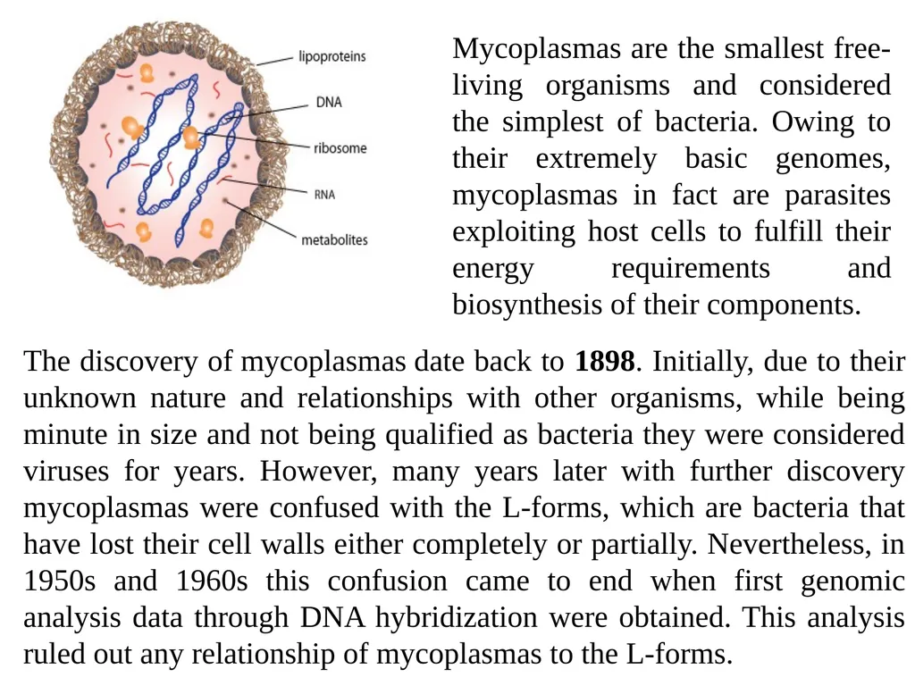 Books For References: Prokaryotic and Eukaryotic - slide 9 of 66