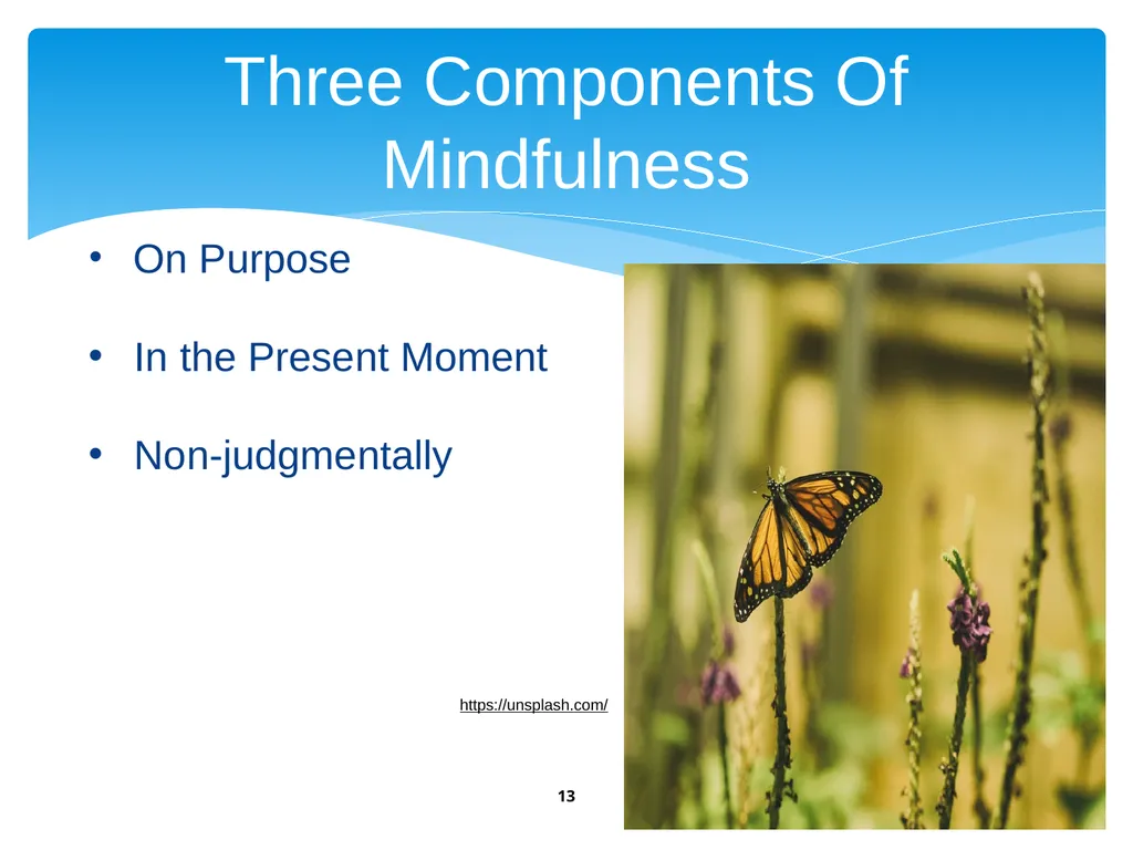 Workplace Stress & Burnout: Mindfulness, an - slide 13 of 33