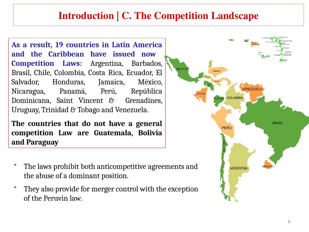 COMPETITION LAW IN LATIN AMERICA Main Feautures - slide 6 of 51