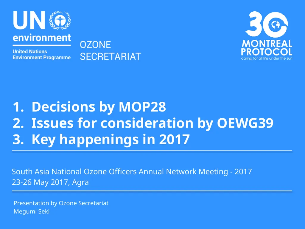 1. Decisions by MOP28 2. Issues for consideration