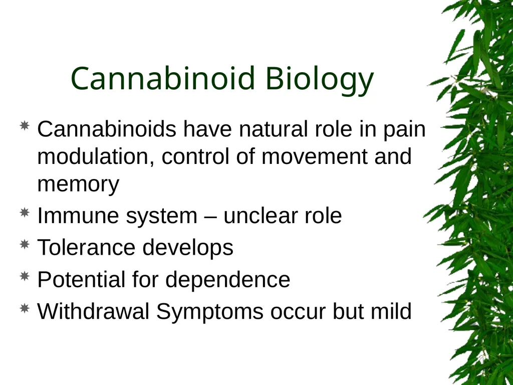 Presented By: David Kan, MD Medical Marijuana: - slide 34 of 48