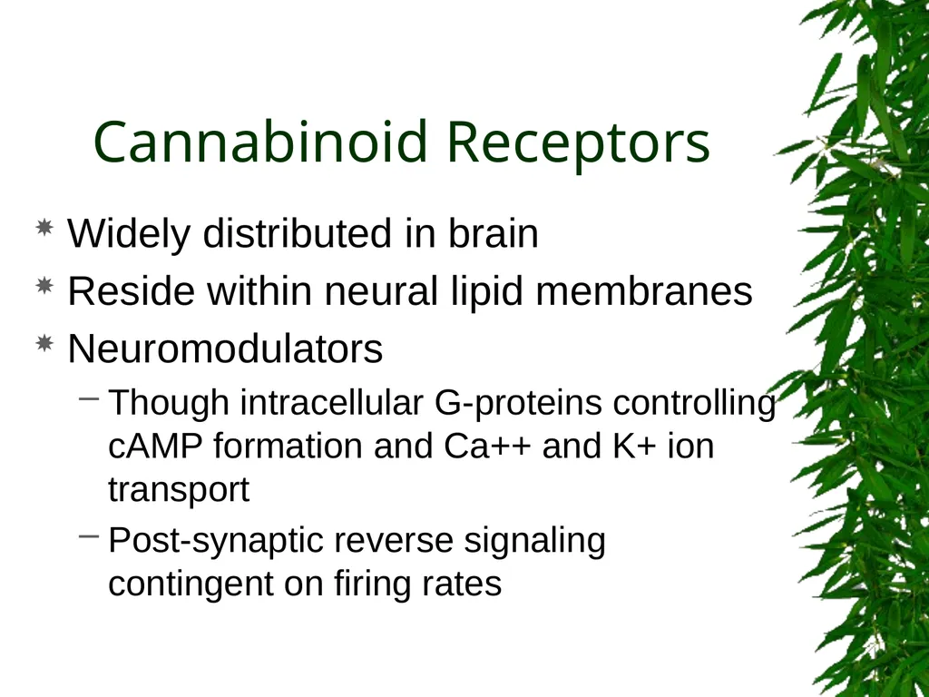 Presented By: David Kan, MD Medical Marijuana: - slide 10 of 48