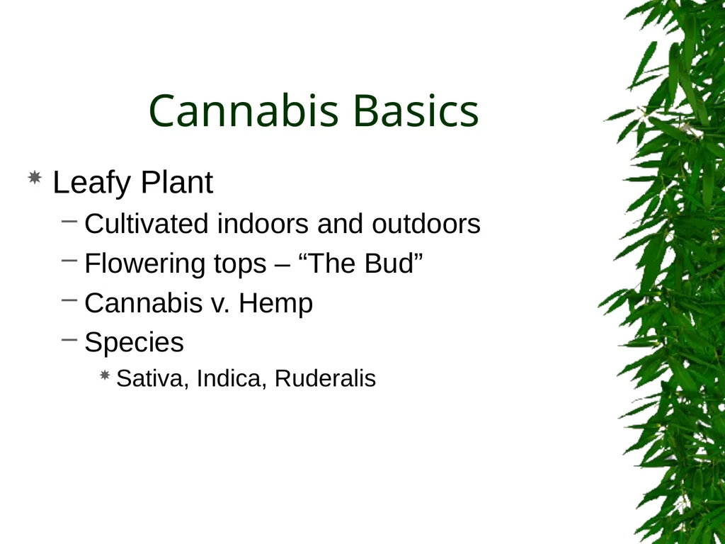Presented By: David Kan, MD Medical Marijuana: - slide 5 of 48