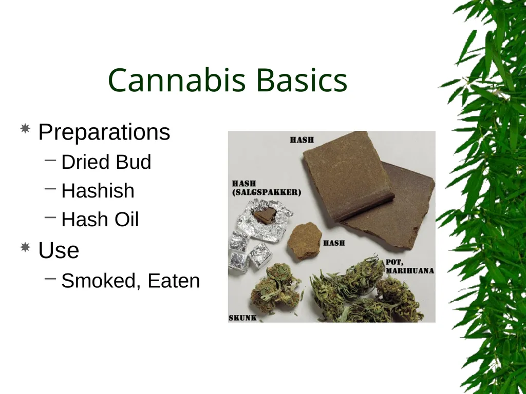 Presented By: David Kan, MD Medical Marijuana: - slide 6 of 48