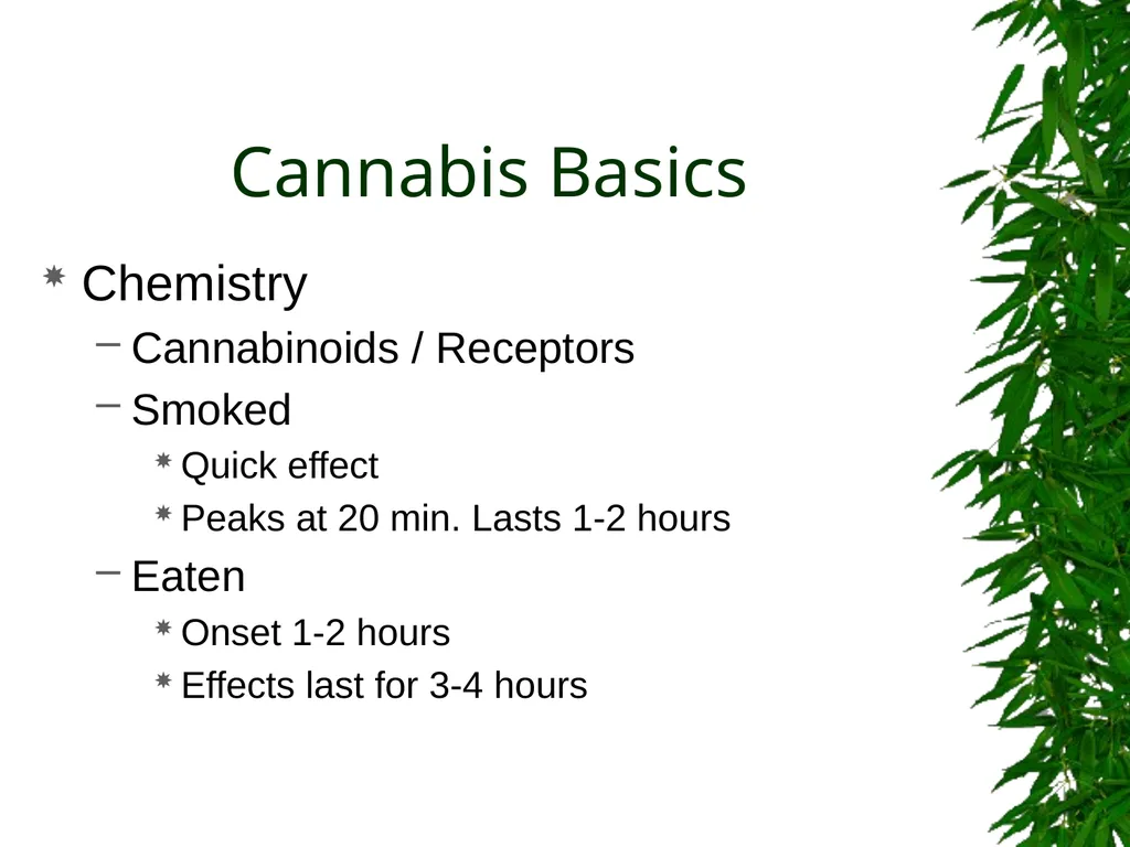 Presented By: David Kan, MD Medical Marijuana: - slide 8 of 48