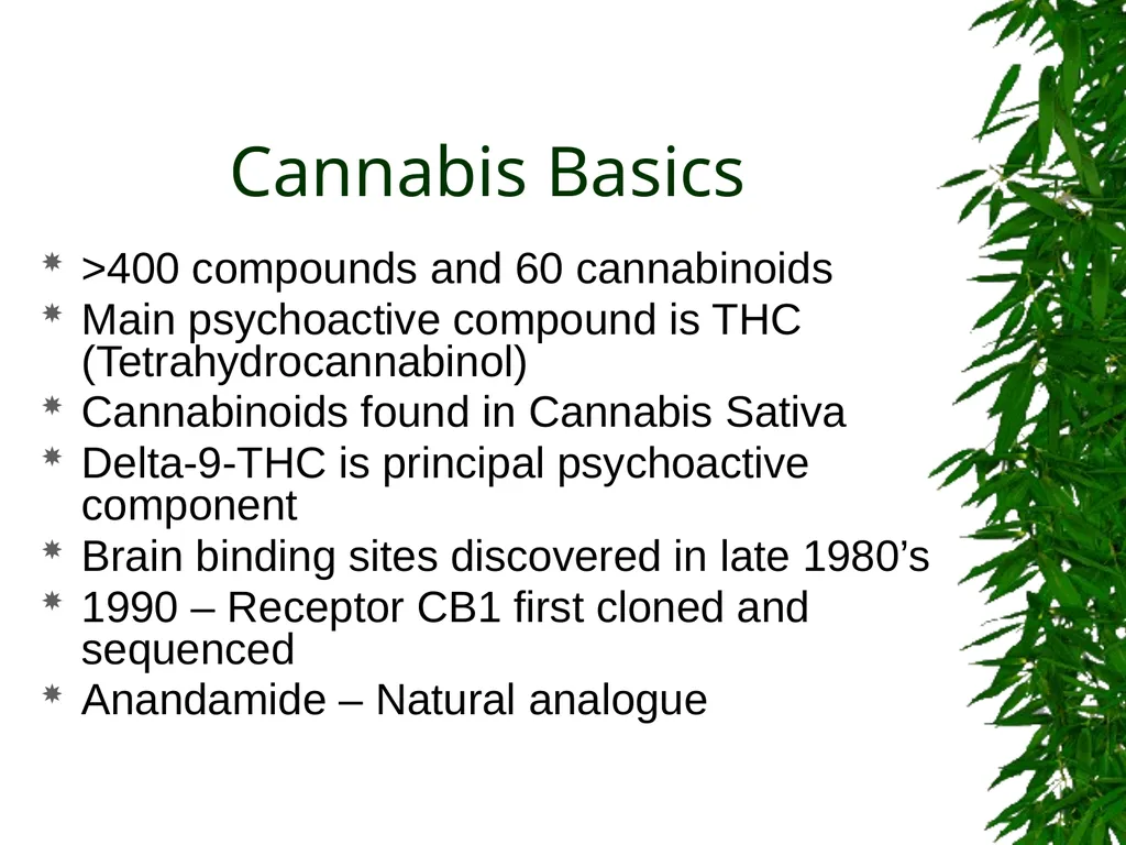 Presented By: David Kan, MD Medical Marijuana: - slide 9 of 48