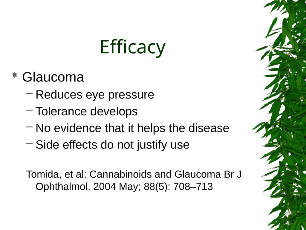 Presented By: David Kan, MD Medical Marijuana: - slide 40 of 48