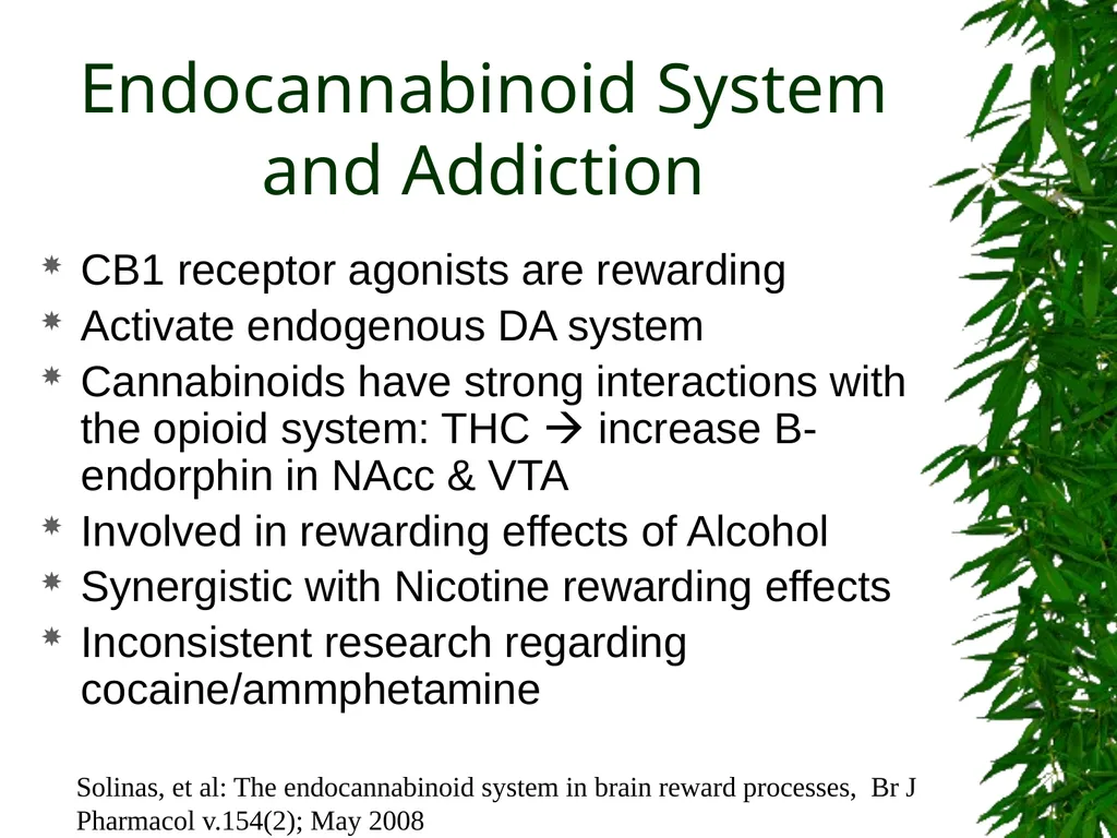 Presented By: David Kan, MD Medical Marijuana: - slide 11 of 48
