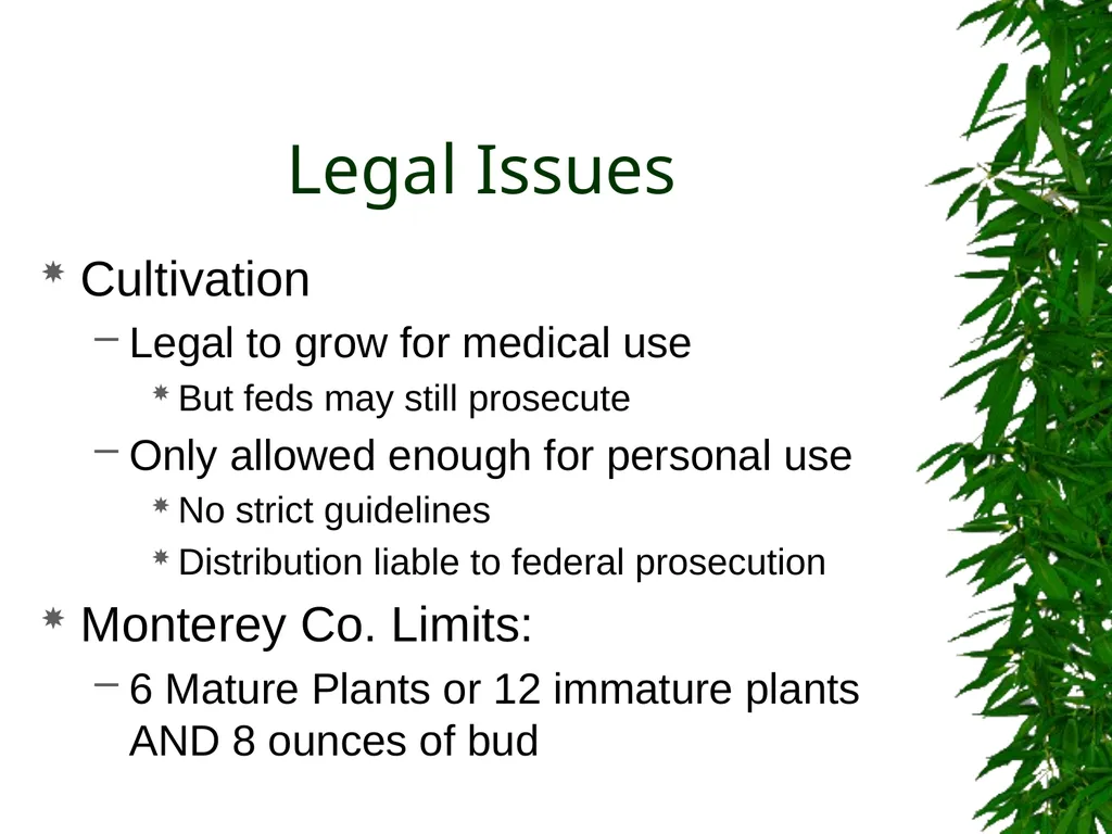 Presented By: David Kan, MD Medical Marijuana: - slide 26 of 48