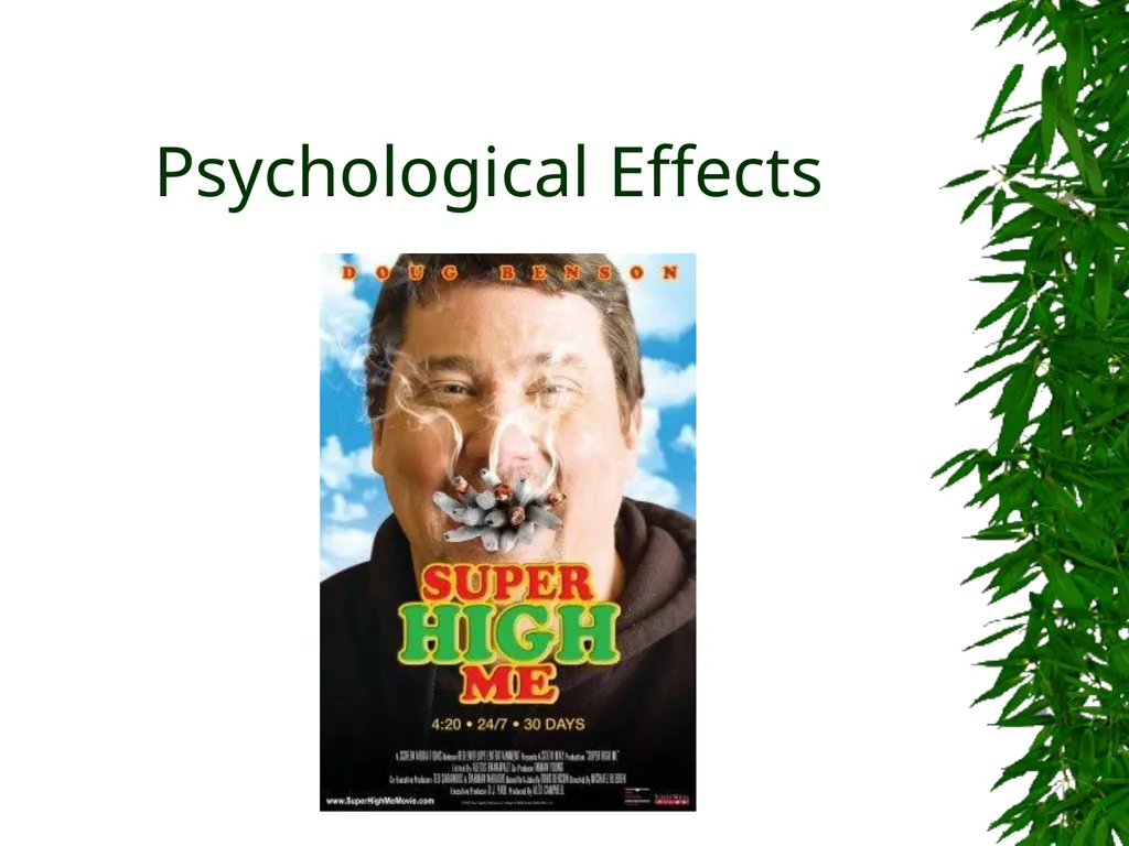 Presented By: David Kan, MD Medical Marijuana: - slide 12 of 48