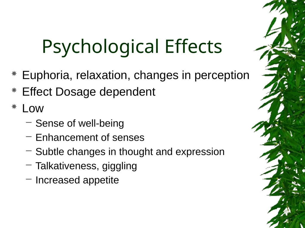 Presented By: David Kan, MD Medical Marijuana: - slide 13 of 48