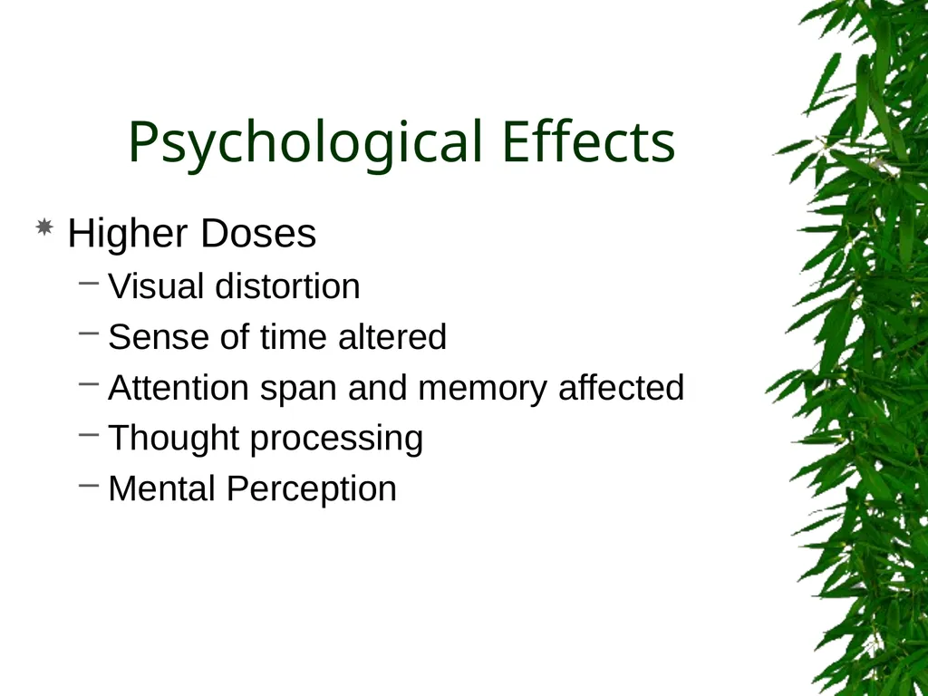 Presented By: David Kan, MD Medical Marijuana: - slide 14 of 48