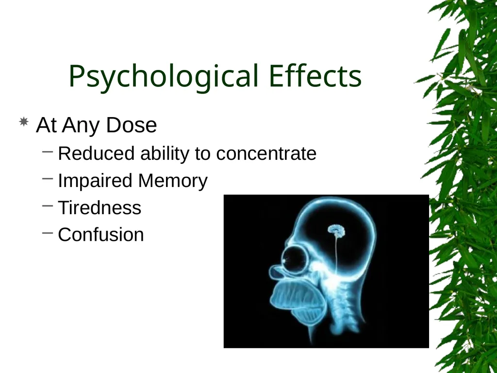 Presented By: David Kan, MD Medical Marijuana: - slide 15 of 48
