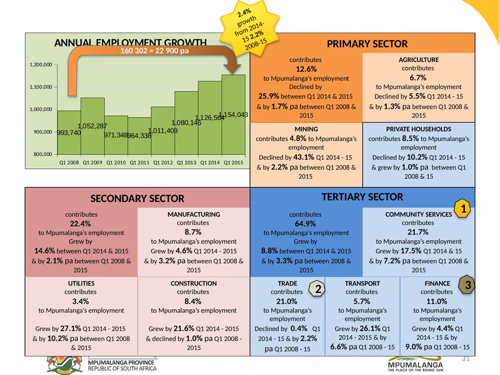 MPUMALANGA ECONOMY – PERFORMANCE, CHALLENGES AND - slide 31 of 44