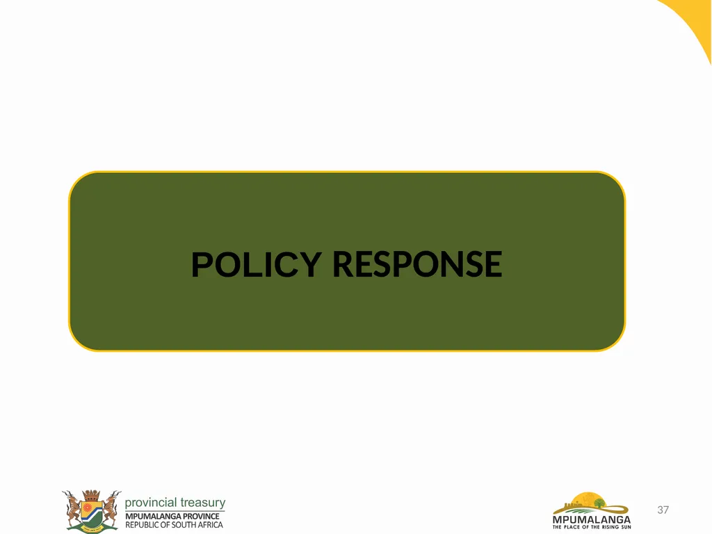 MPUMALANGA ECONOMY – PERFORMANCE, CHALLENGES AND - slide 37 of 44