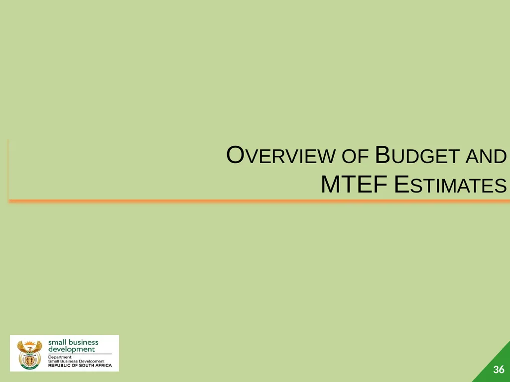 Department of Small Business Development (DSBD) - slide 36 of 77