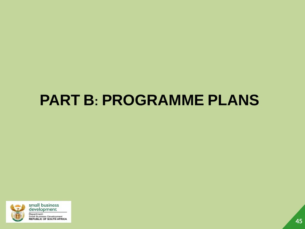 Department of Small Business Development (DSBD) - slide 45 of 77