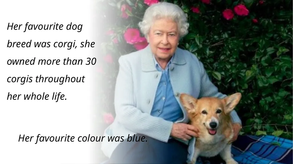 Queen Elizabeth II Wiktoria and Maria Lifetime: 21 - slide 5 of 7