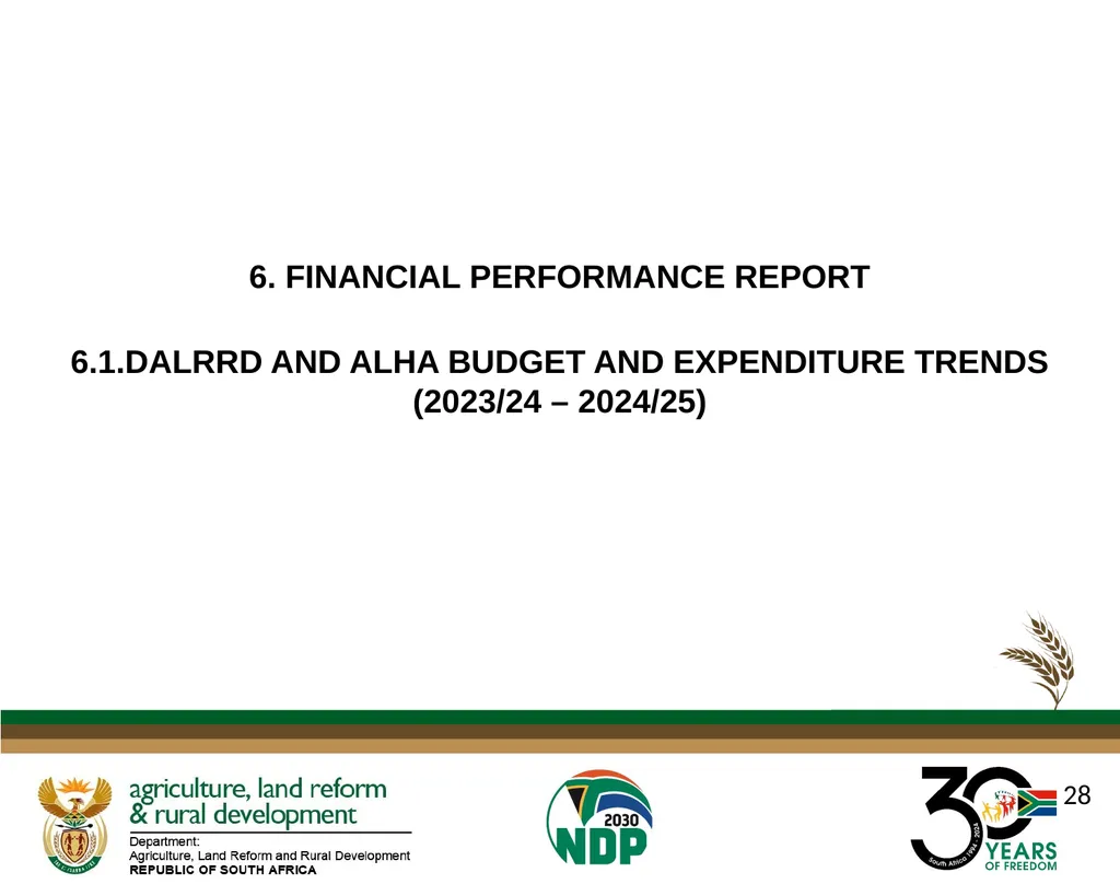 DALRRD ANNUAL REPORT 2024/25 FINANCIAL YEAR - slide 28 of 71