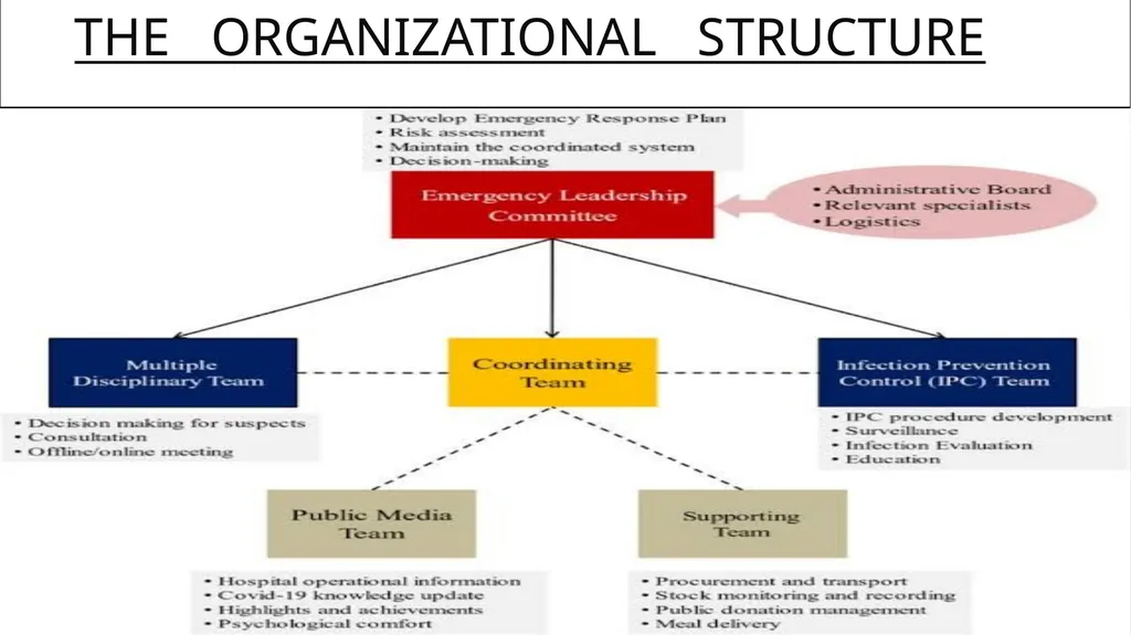 HOSPITAL COMMITTEES Role, Composition, Frequency - slide 9 of 12
