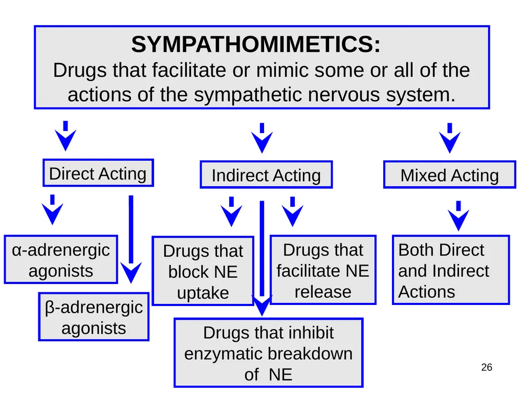 Pharmacology of the Autonomic Nervous System Part - slide 22 of 44