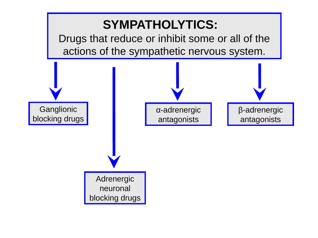 Pharmacology of the Autonomic Nervous System Part - slide 33 of 44