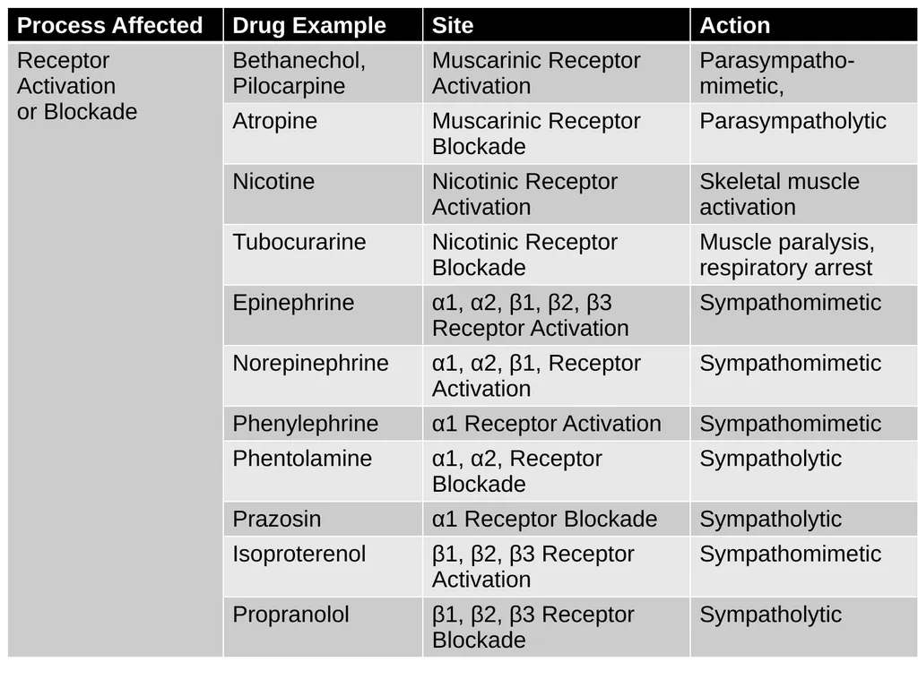 Pharmacology of the Autonomic Nervous System Part - slide 41 of 44