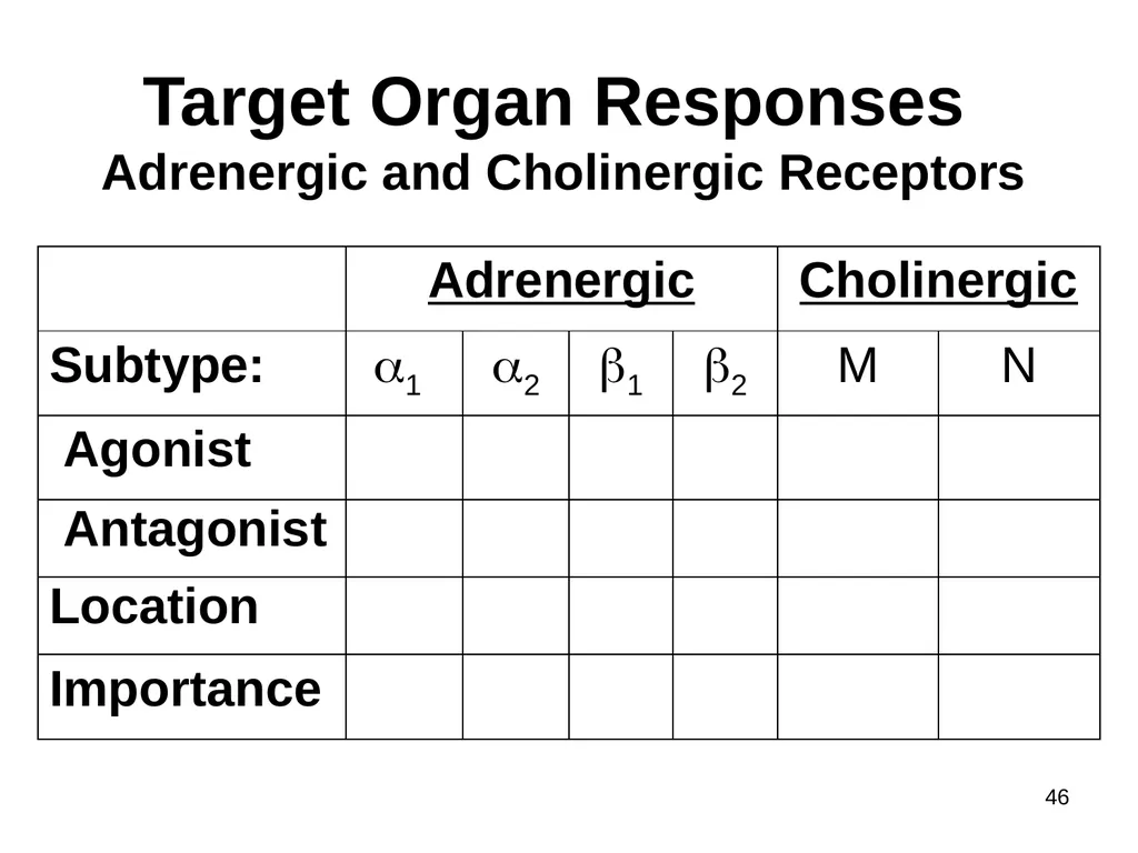 Pharmacology of the Autonomic Nervous System Part - slide 42 of 44