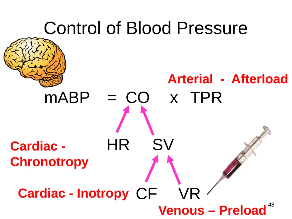Pharmacology of the Autonomic Nervous System Part - slide 44 of 44