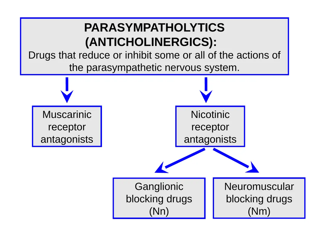 Pharmacology of the Autonomic Nervous System Part - slide 12 of 44